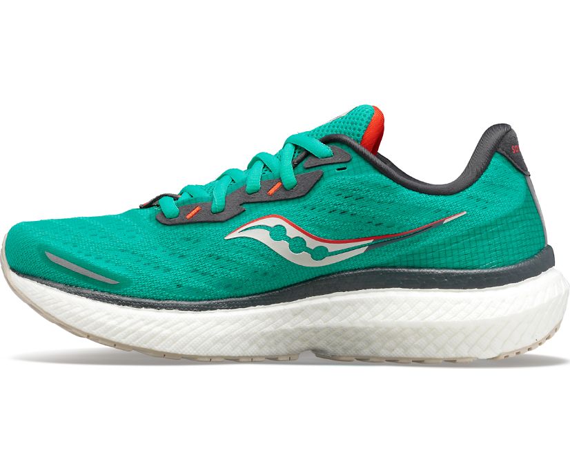 Chaussures de Marche Saucony Triumph 19 Femme Vert Orange | H3089-6