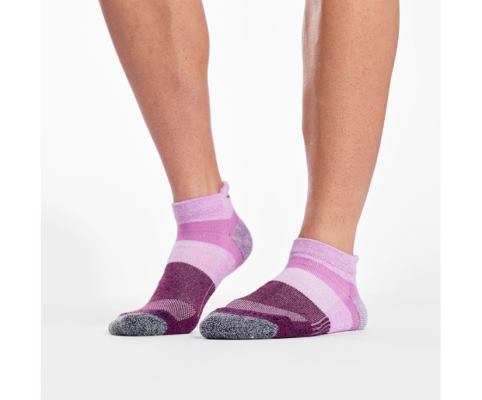 Chaussettes Saucony Inferno No Show Tab 3-Pack Socks Femme Rose | Y63363-0